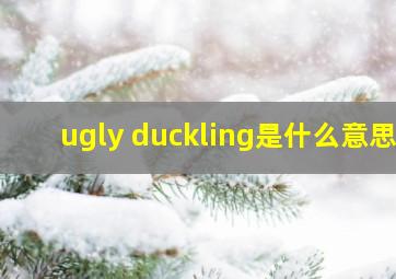 ugly duckling是什么意思